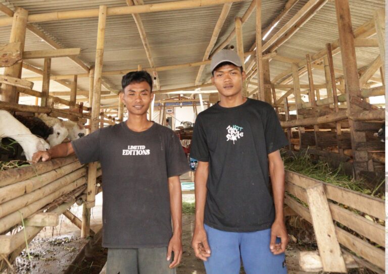 Program Peternakan Domba: Kebaikan yang Tumbuh, Harapan yang Terus Hidup